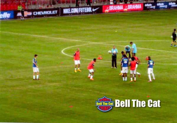 ���{��\�V���K�|�[���ł̃u���W����